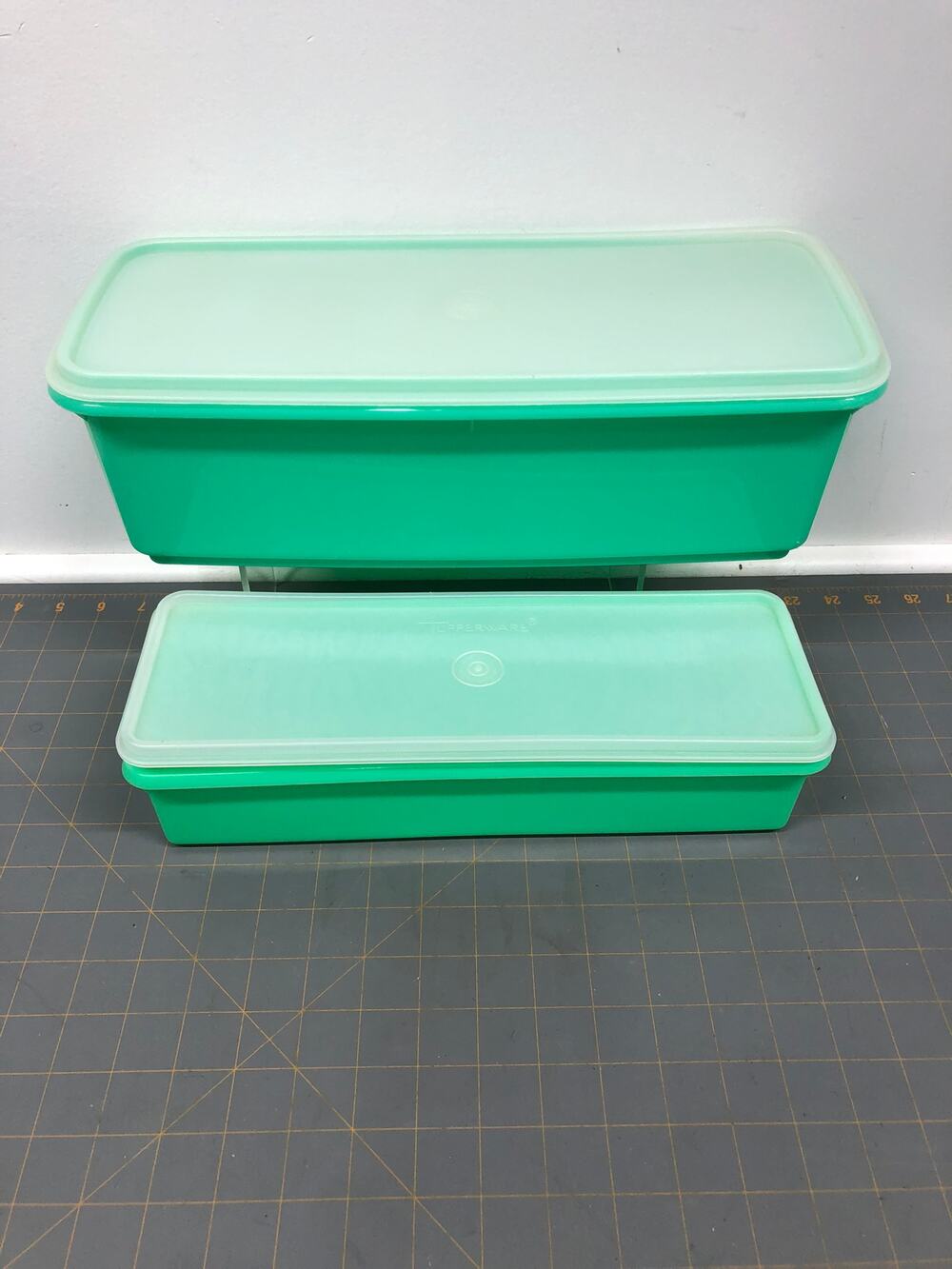 Vtg Easy Crisp Veggie Jr Container w/lid & Celery Veggie Keeper w/ Tray and Lid